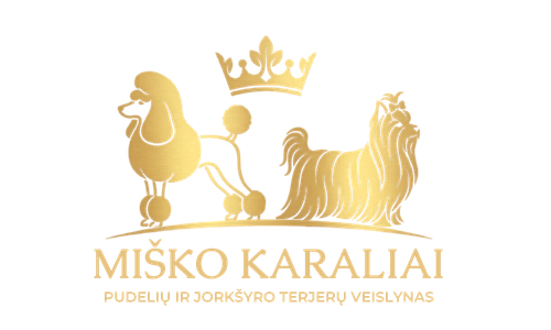 Miško Karaliai